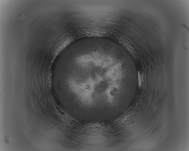 X0000097810675200803281059