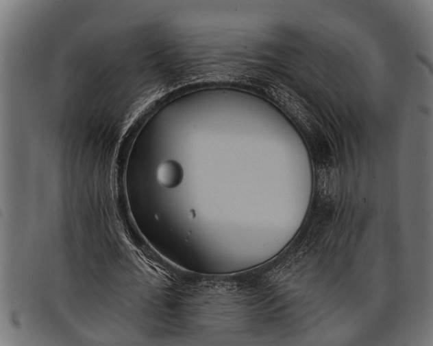 X0000097810676200803281059