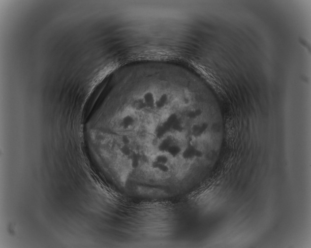 X0000097810679200803281059