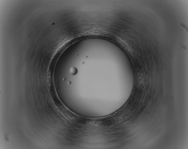 X0000097810680200803281059