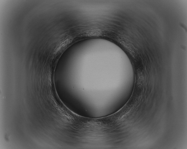 X0000097810681200803281059