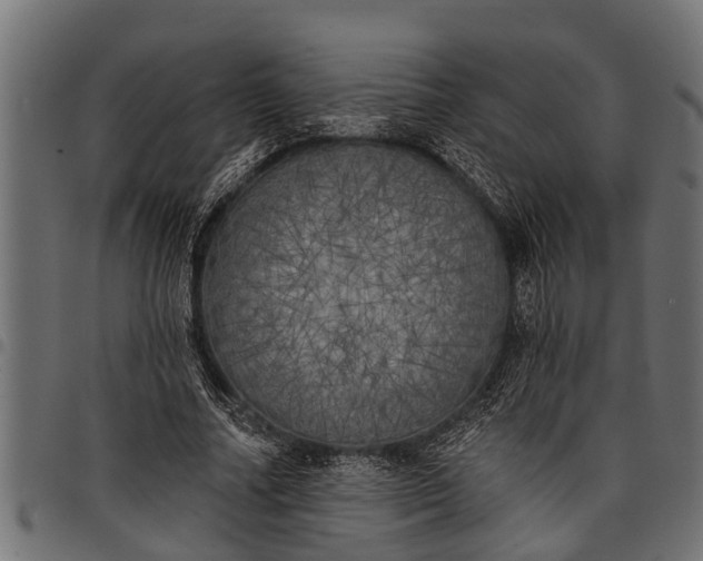 X0000097810682200803281058