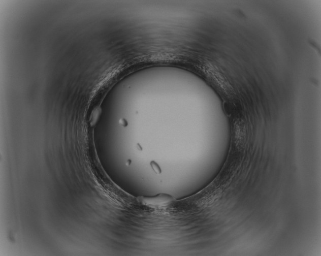 X0000097810684200803281058