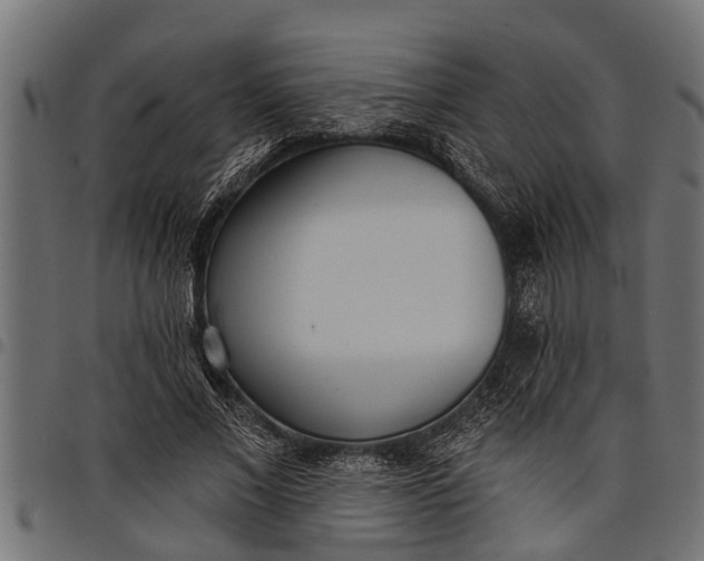 X0000097810685200803281058