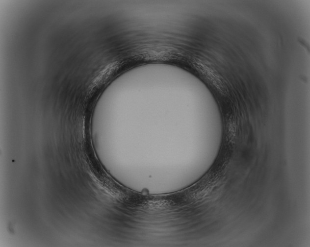 X0000097810686200803281058