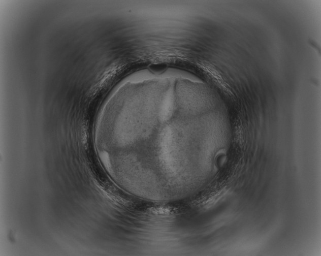 X0000097810687200803281058