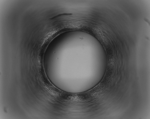 X0000097810688200803281058