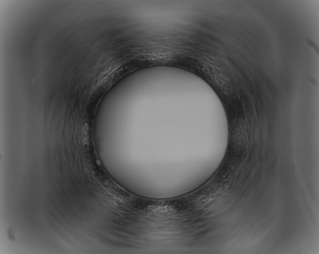 X0000097810689200803281058