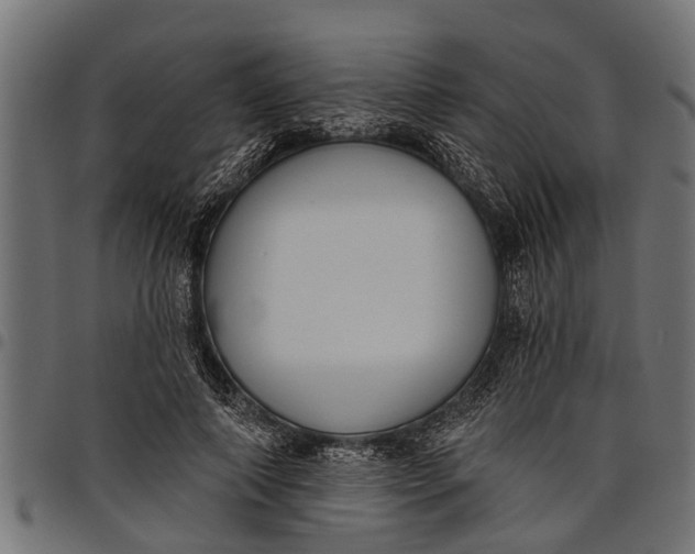 X0000097810690200803281058