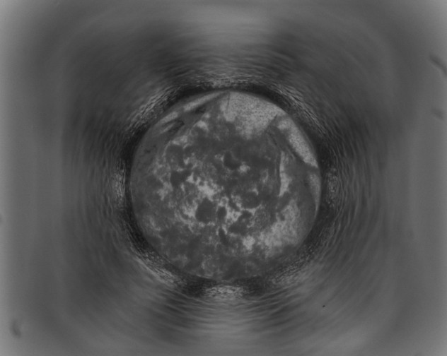 X0000097810691200803281058