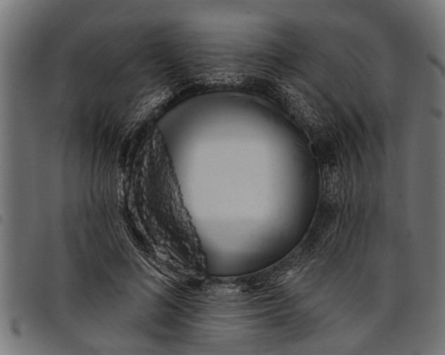 X0000097810692200803281058