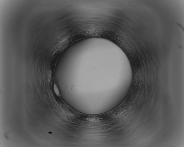 X0000097810693200803281058