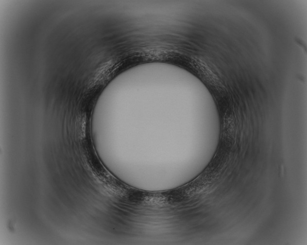 X0000097810694200803281058