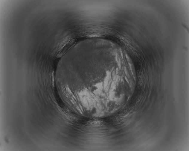 X0000097810695200803281058