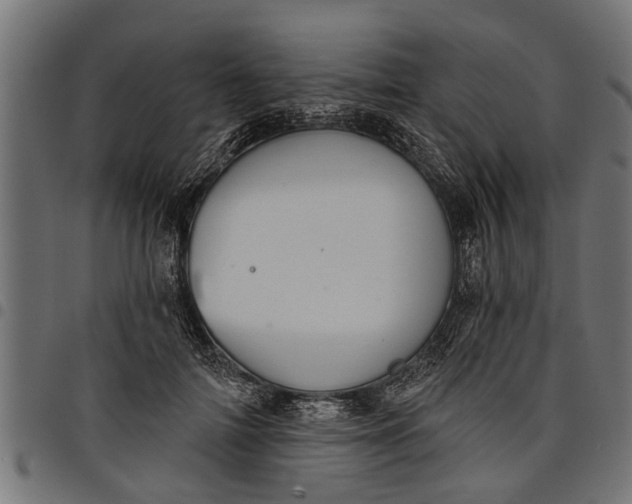 X0000097810698200803281058