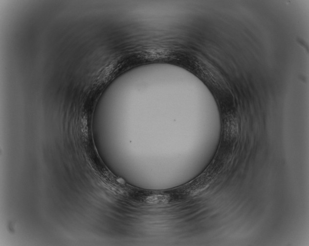 X0000097810700200803281058