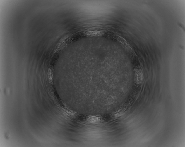 X0000097810701200803281058