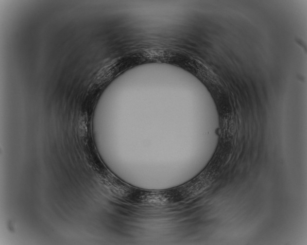 X0000097810702200803281058