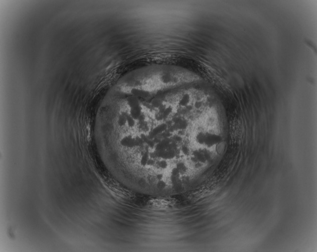 X0000097810703200803281058