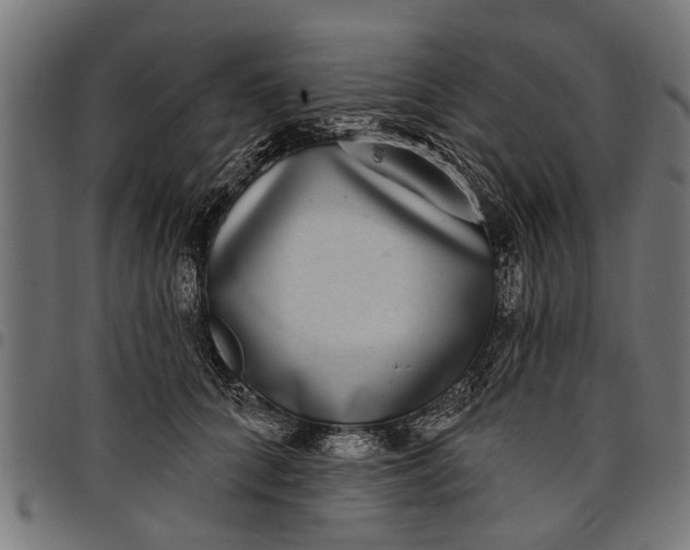 X0000097810704200803281058