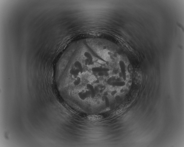 X0000097810707200803281058