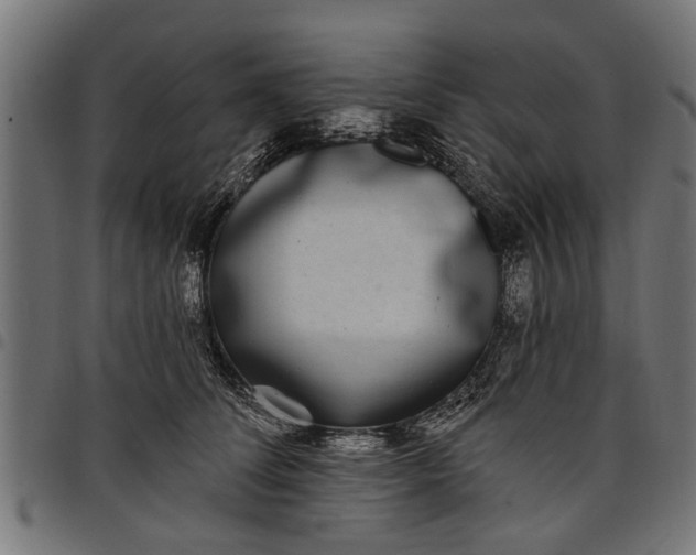 X0000097810708200803281058