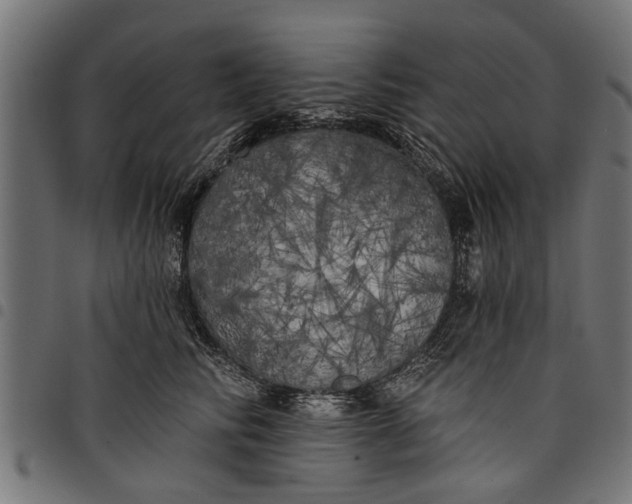 X0000097810710200803281058