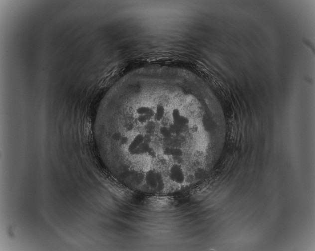 X0000097810711200803281058