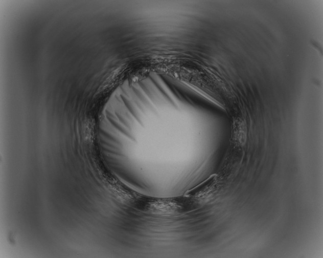 X0000097810712200803281058