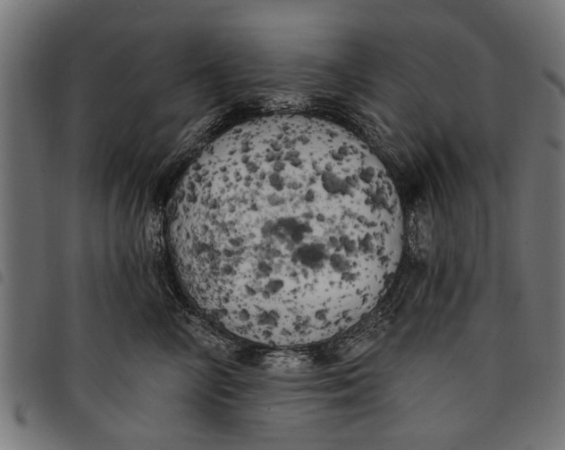 X0000097810714200803281058