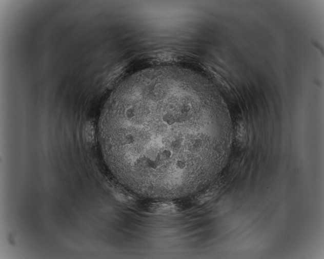 X0000097810715200803281058