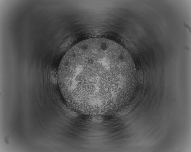 X0000097810719200803281058