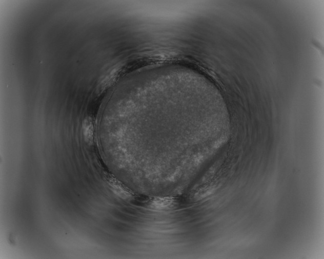 X0000097810720200803281058