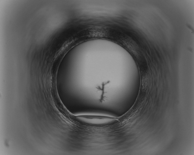 X0000097810722200803281057