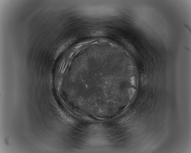 X0000097810725200803281057