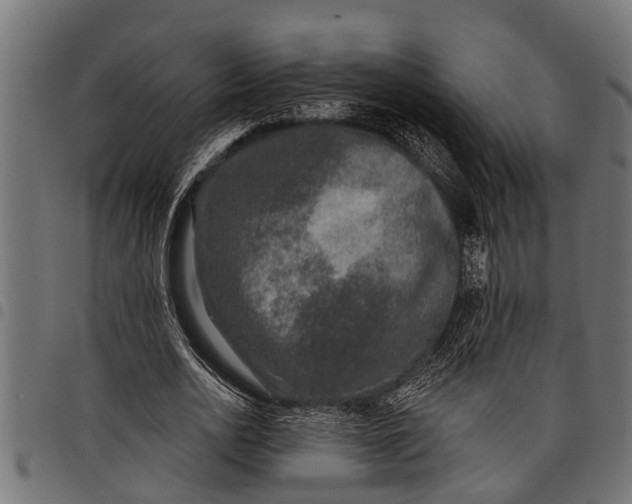 X0000097810726200803281057