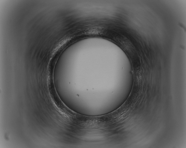 X0000097810728200803281057