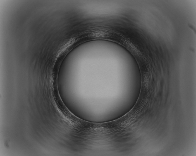 X0000097810730200803281057