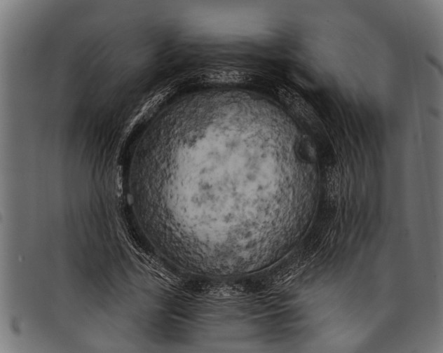 X0000097810731200803281057