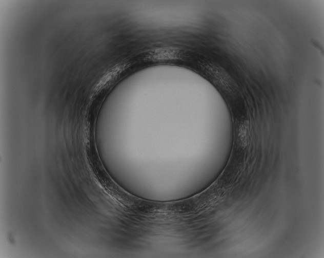 X0000097810732200803281057