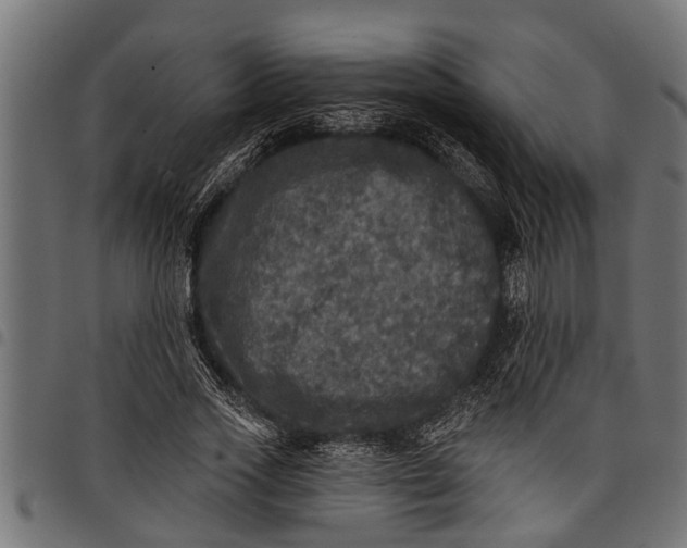 X0000097810733200803281057