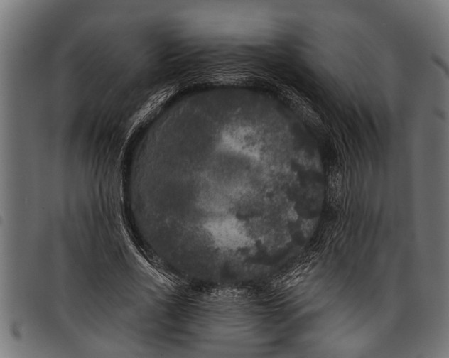 X0000097810734200803281057