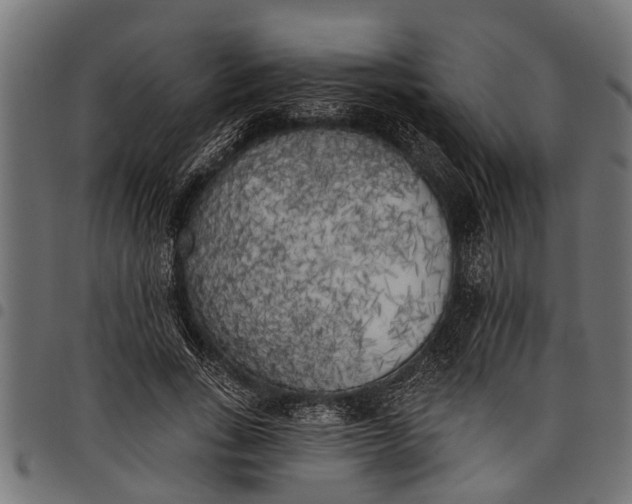 X0000097810735200803281058