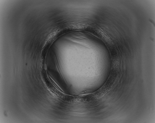 X0000097810736200803281058