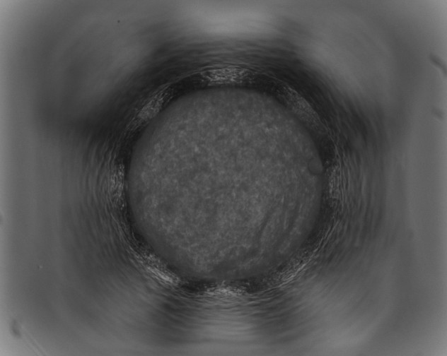 X0000097810737200803281058