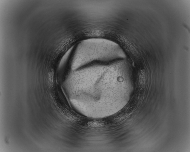 X0000097810739200803281058