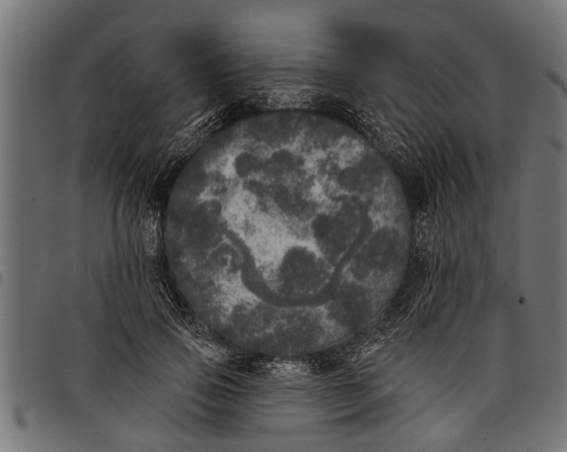 X0000097810741200803281058