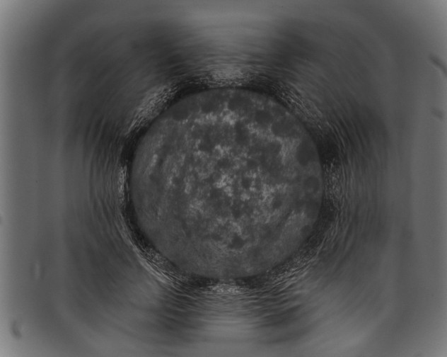 X0000097810742200803281058