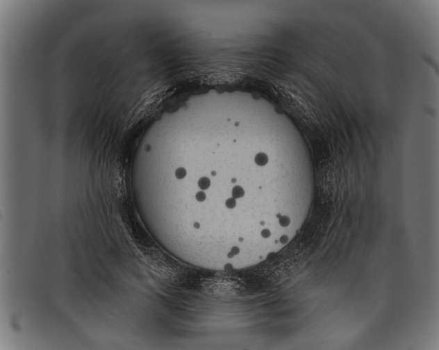 X0000097810743200803281058