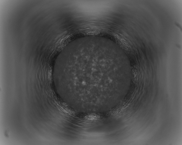 X0000097810745200803281058